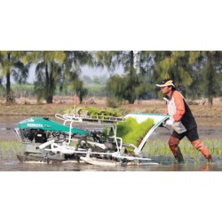 1- Bigdel Kubota SPW-68CM Çeltik Fide Dikim Makinesi